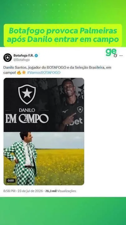 botafogo provoca palmeiras danilo